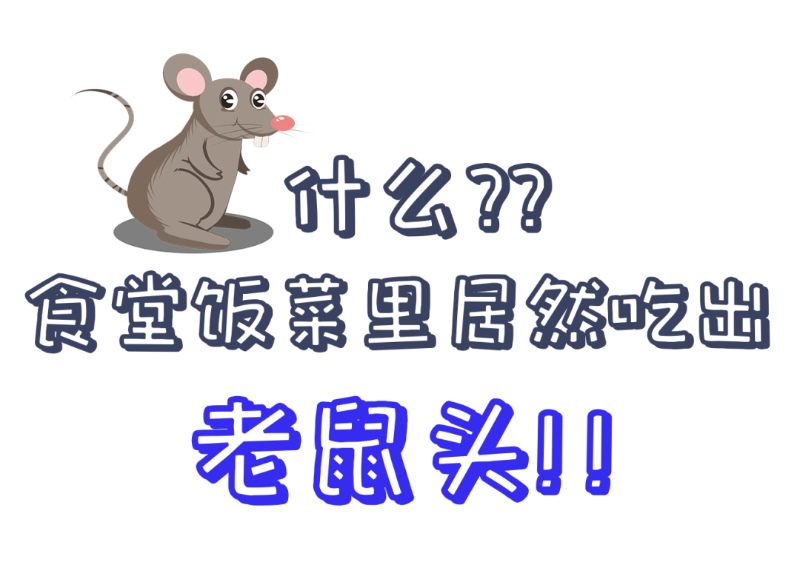 公共食堂又爆雷！饭菜吃出老鼠头？？看看球盟会(中国)新材怎么做......